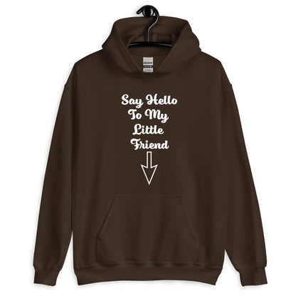 Say Hello To My Little Friend Unisex Hoodie