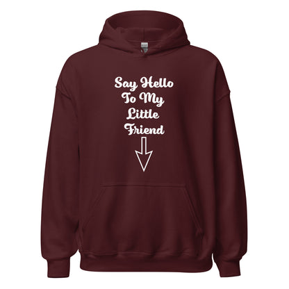 Say Hello To My Little Friend Unisex Hoodie